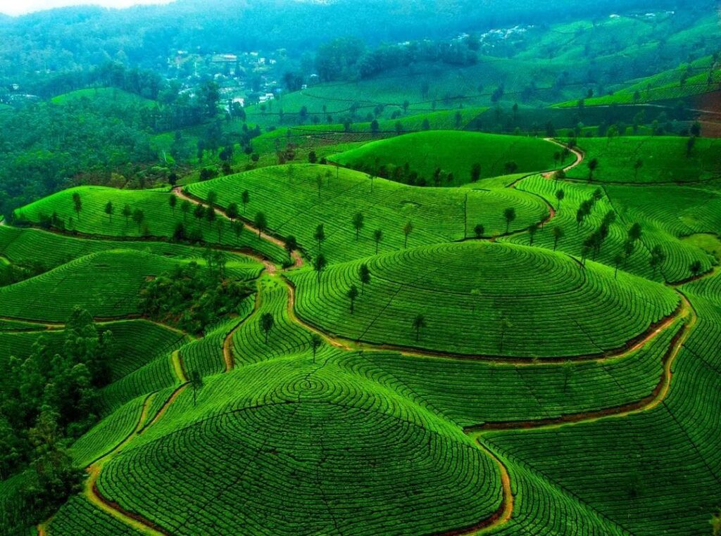 Best Places to Visit in India 10