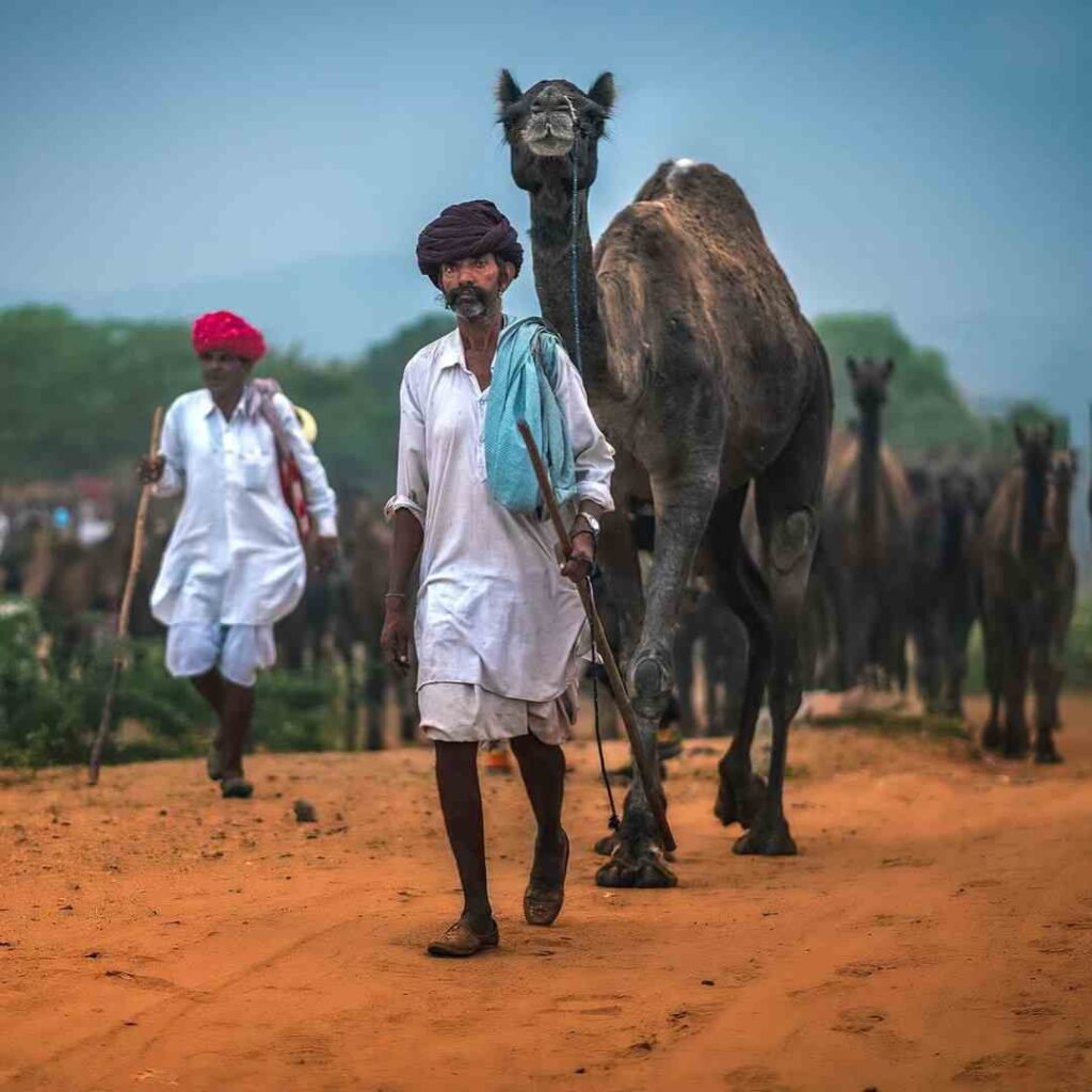 Best Time to Visit India 4