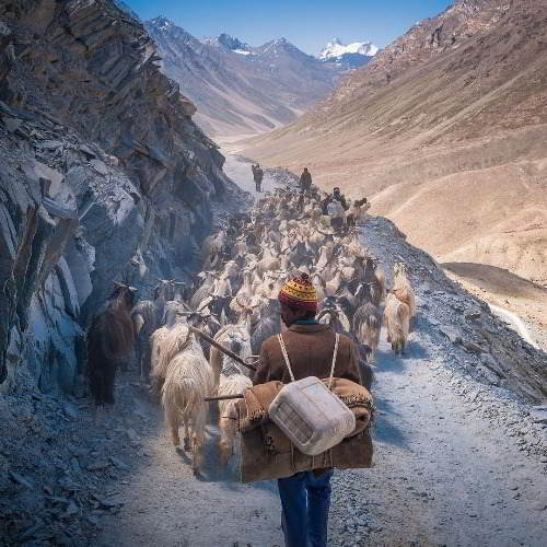 Things to do in Spiti Valley during Spiti Tour