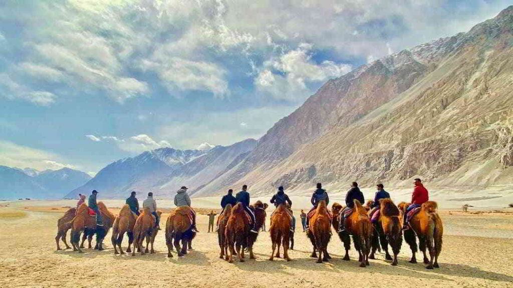 nubra valley leh ladakh